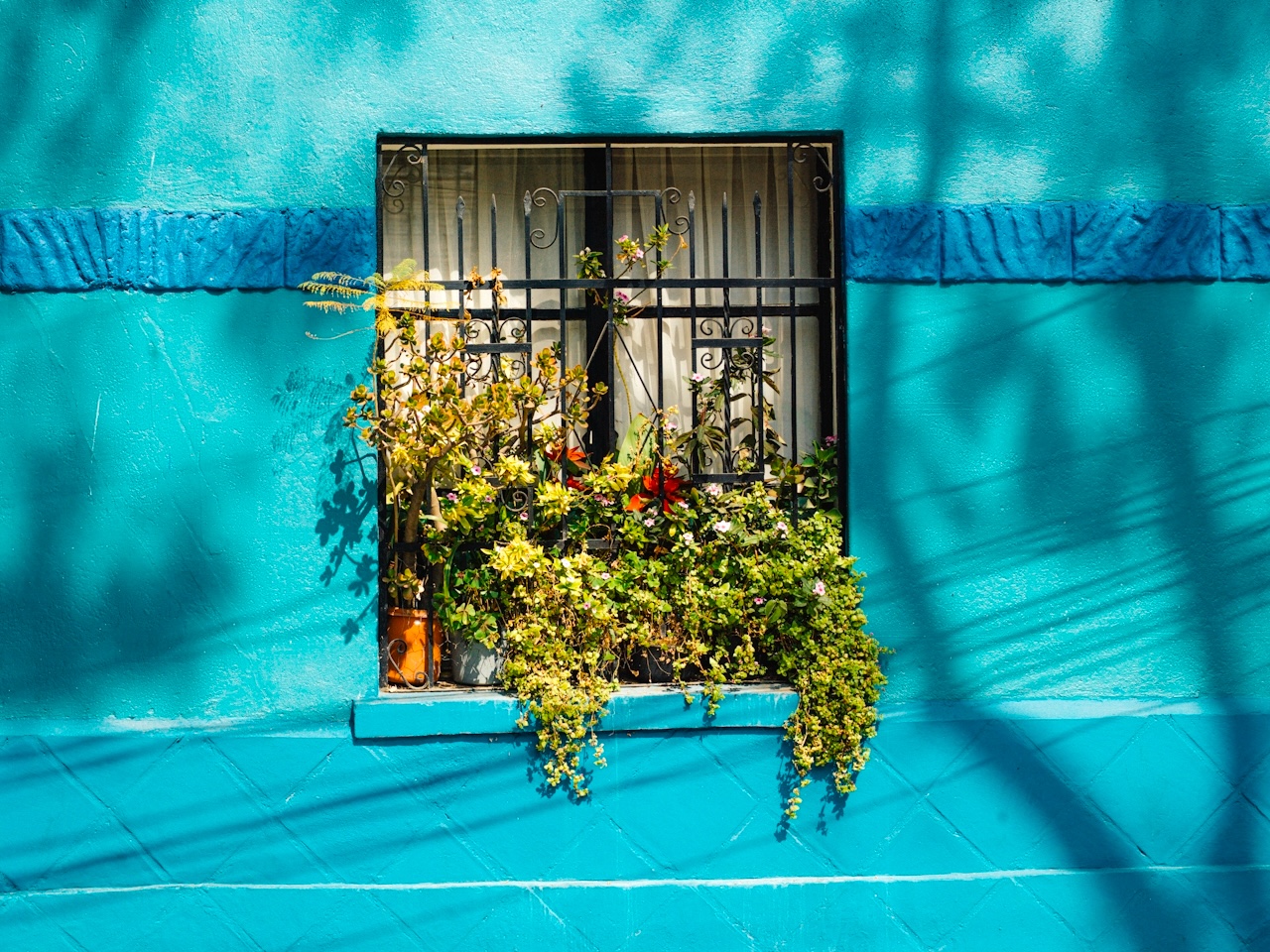 DTS_Escapista_Agustín_Farías_Photos_ID8493